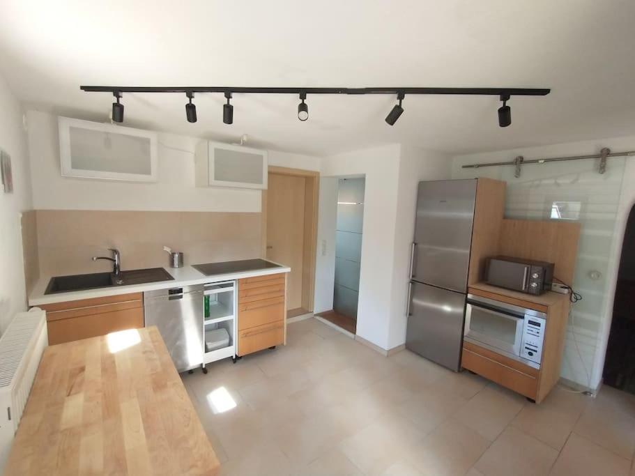 Schicke Hundefreundliche Wohnung Alsheim Екстер'єр фото