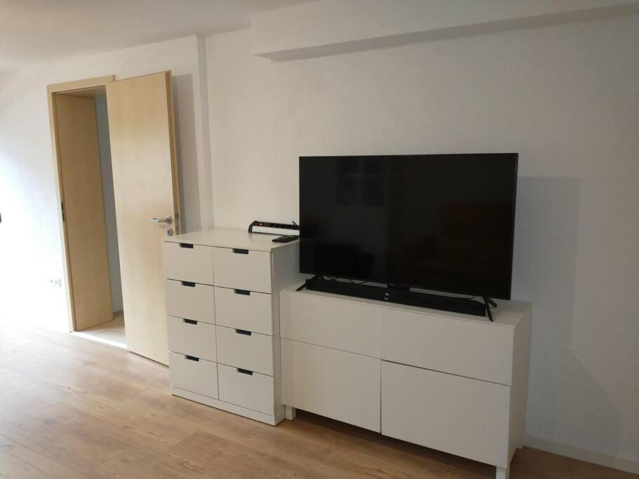 Schicke Hundefreundliche Wohnung Alsheim Екстер'єр фото